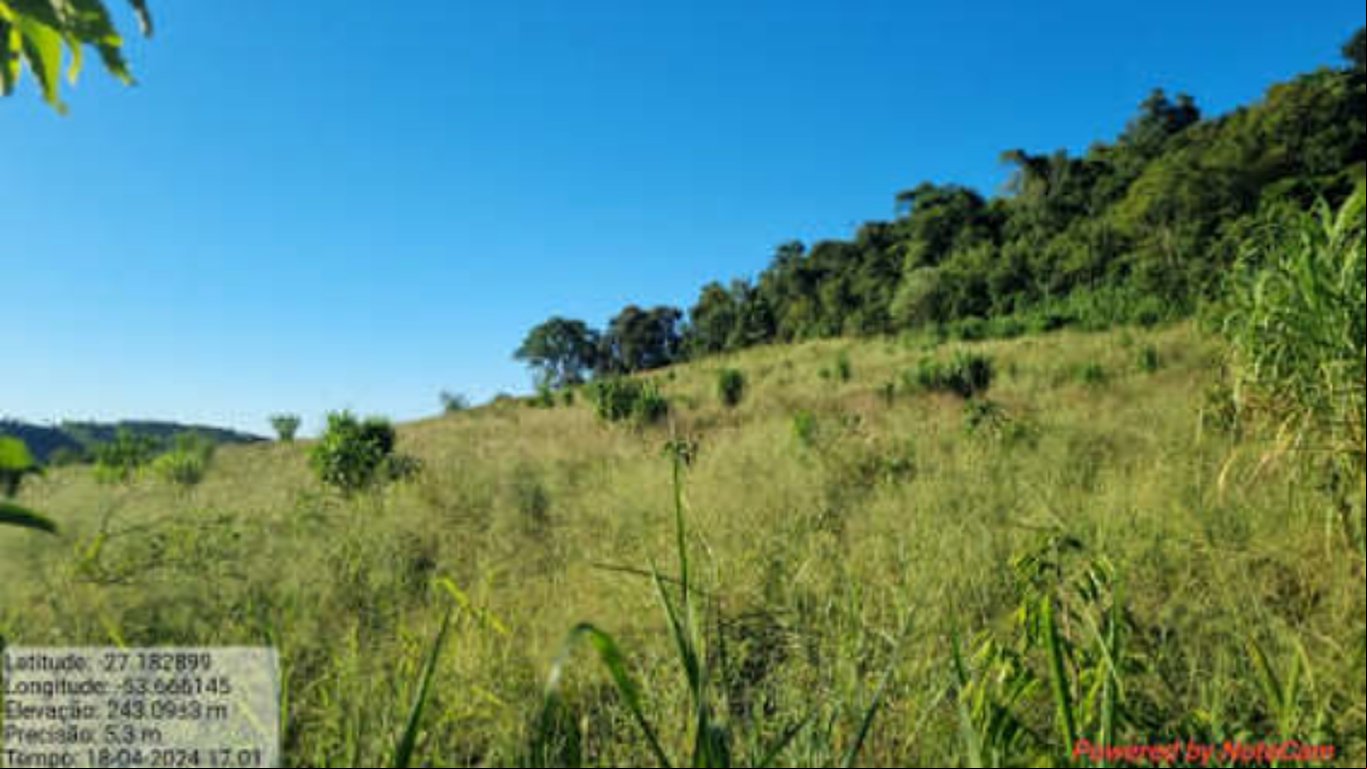 Imagem da galeria
